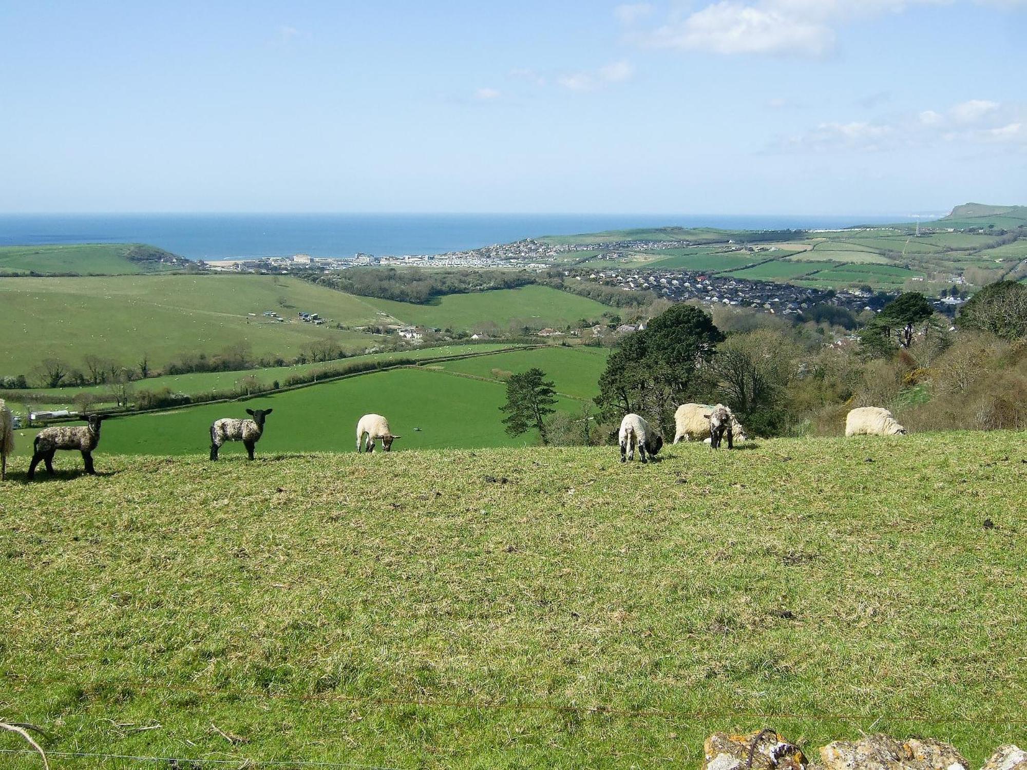 Woodbrook Cottage Bridport Dış mekan fotoğraf